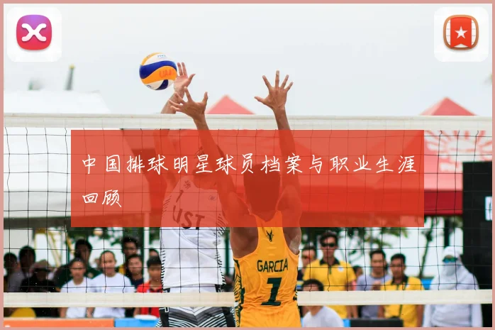 中国排球明星球员档案与职业生涯回顾